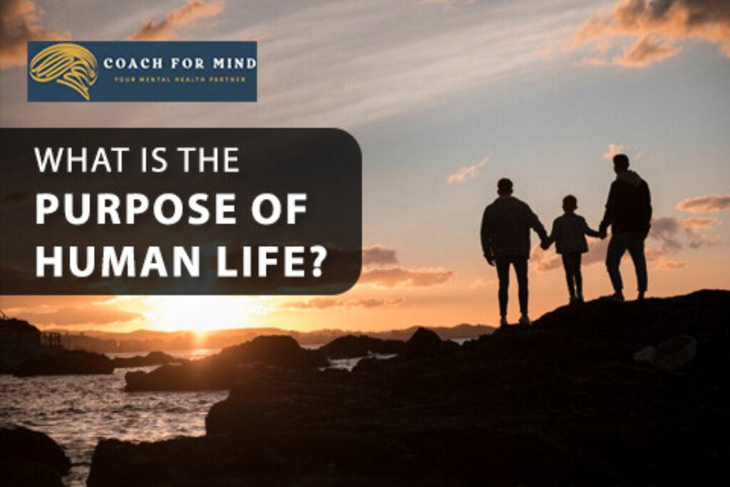 what-is-the-purpose-of-human-life